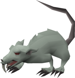 Dungeon rat.png
